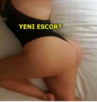 Tarsus Bayan Escort'ta Elit Beylere Vazgeçilmez Güzellikteki Hatunların Hizmeti